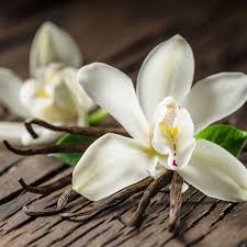 White floral
